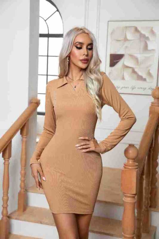 Women's Long Sleeve Short Length Lapel Fitted Dress